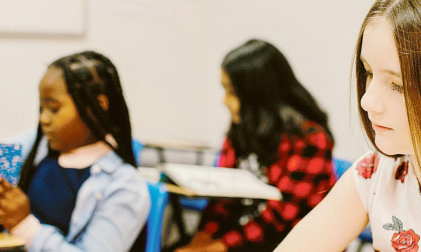 &ldquo;Rovigo dica s&igrave; allo ius scholae&rdquo;