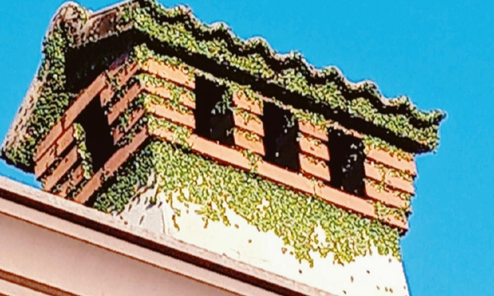 "Invasi dalle cimici: mai cos&igrave; tanti"