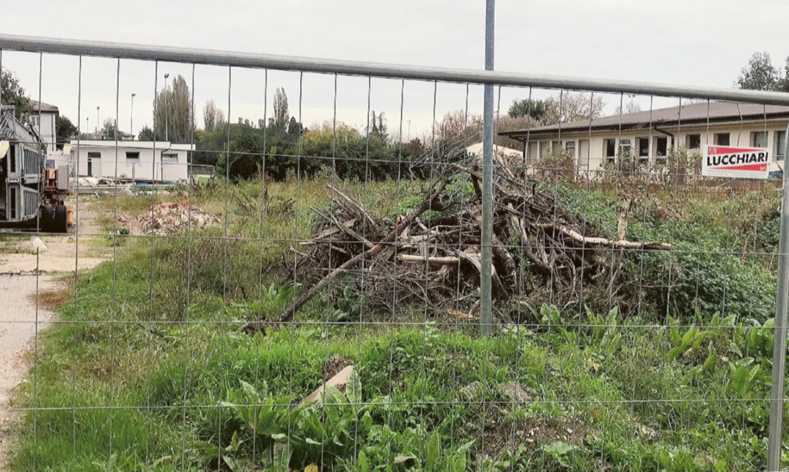 Il nido rischia di essere fantasma