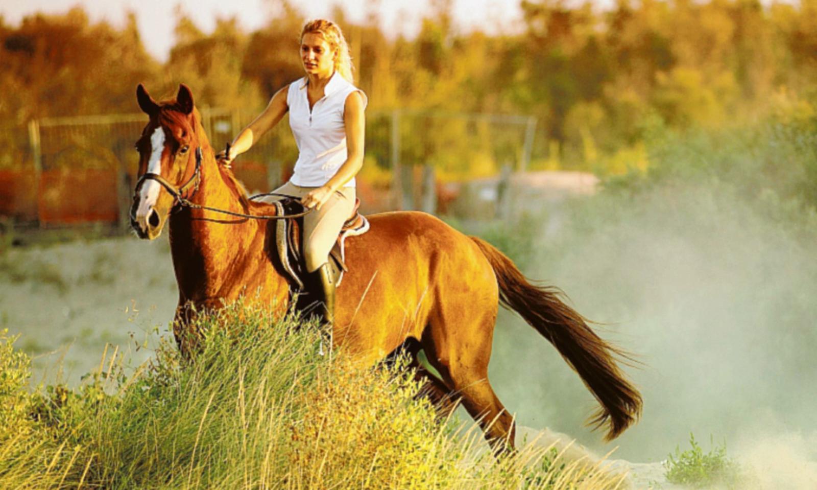 In spiaggia a cavallo: si pu&ograve;!