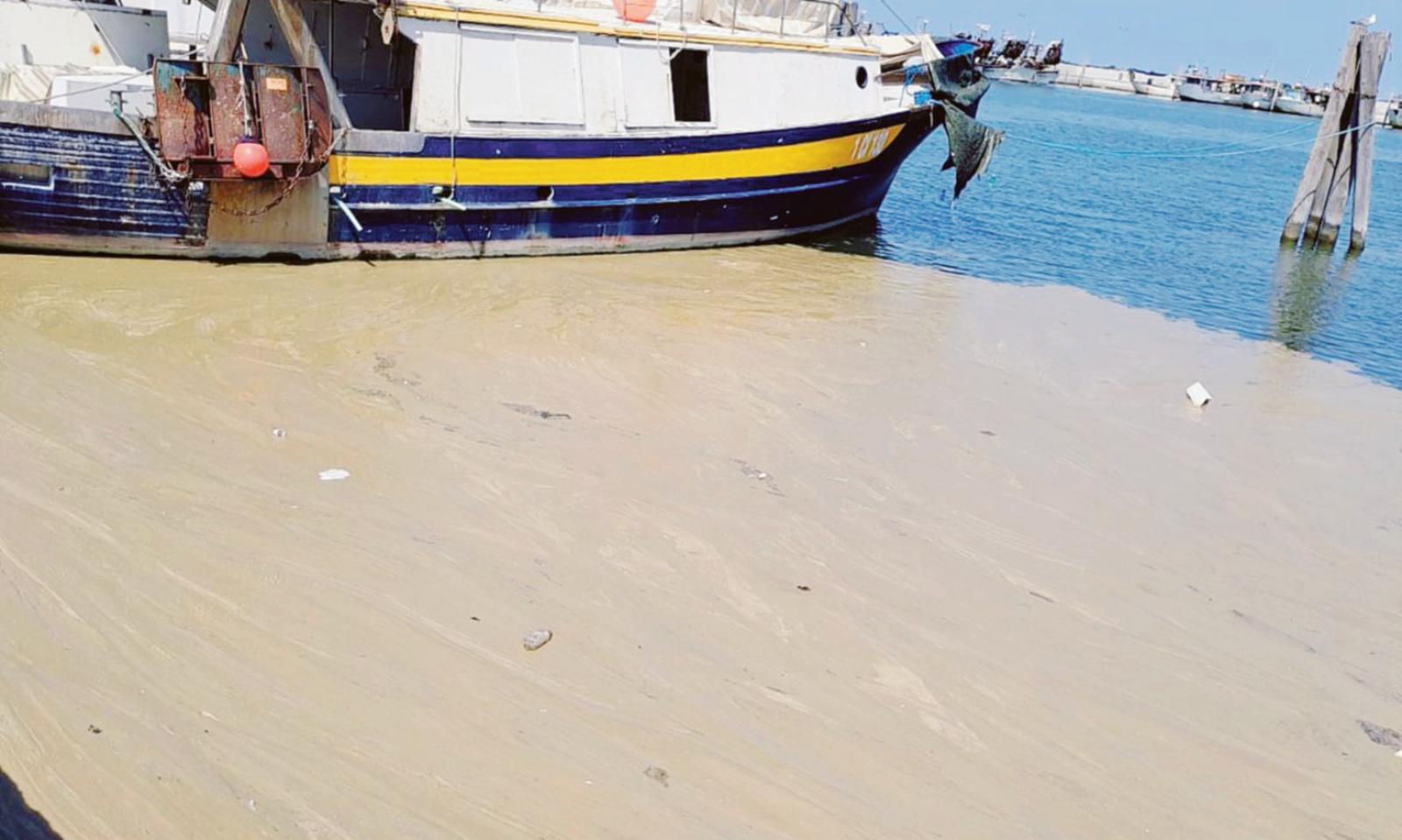 &ldquo;Mucillagini, stato di calamit&agrave;&rdquo;