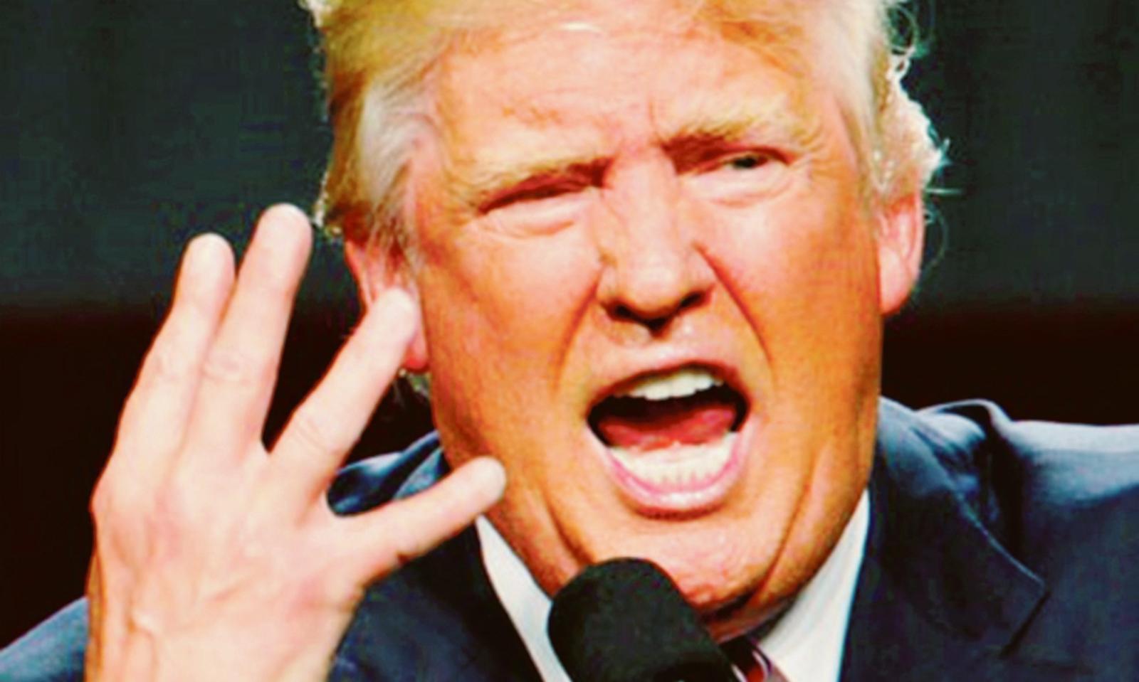 Sguardo sul fenomeno Trump alla vigilia delle elezioni Usa