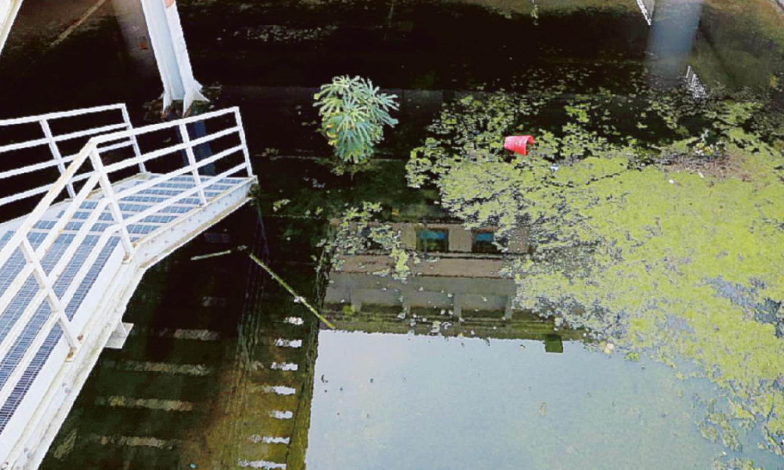 Palude Le Torri, c&rsquo;&egrave; l&rsquo;ordinanza