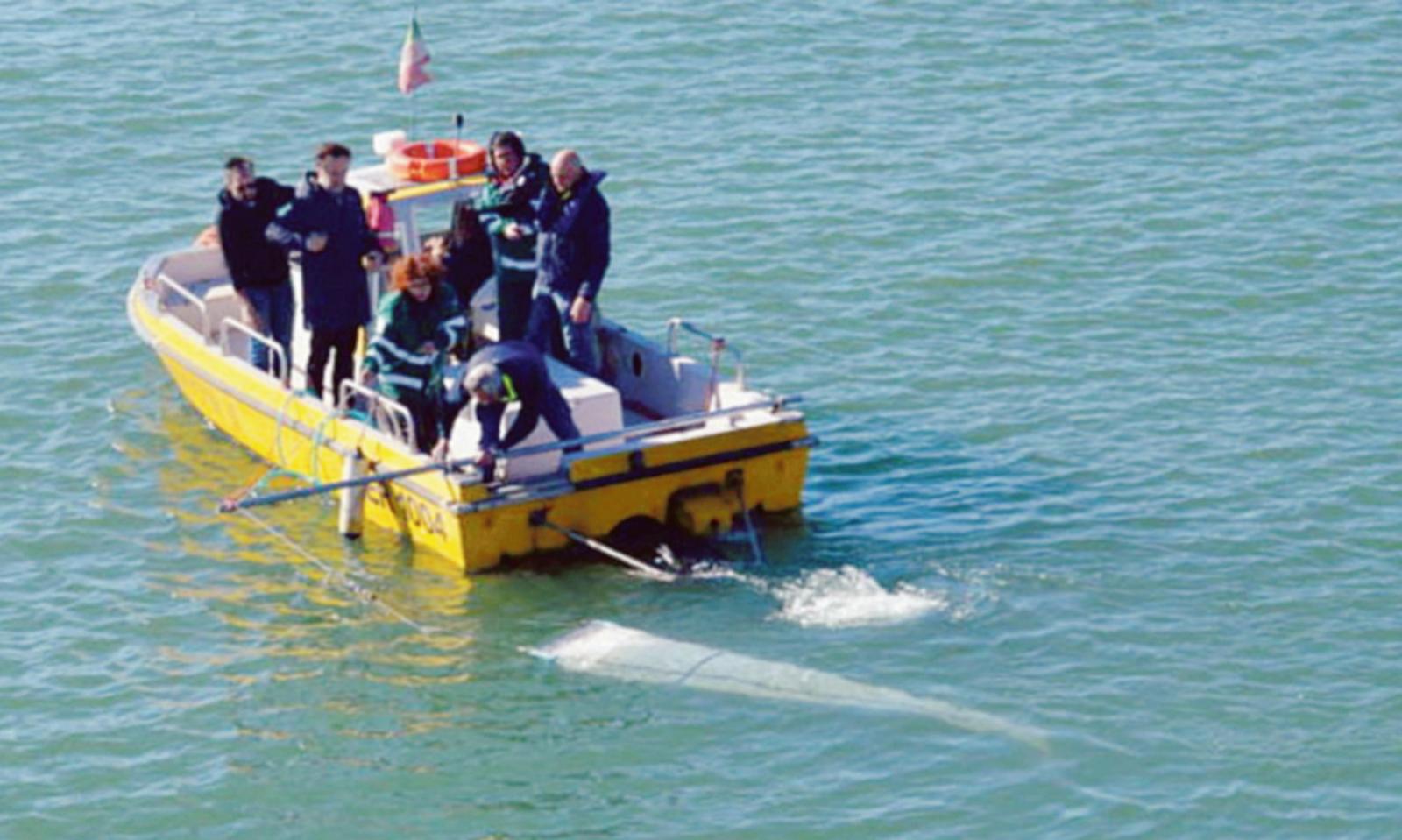 Sar&agrave; presentato il 6 dicembre lo studio sulle microplastiche