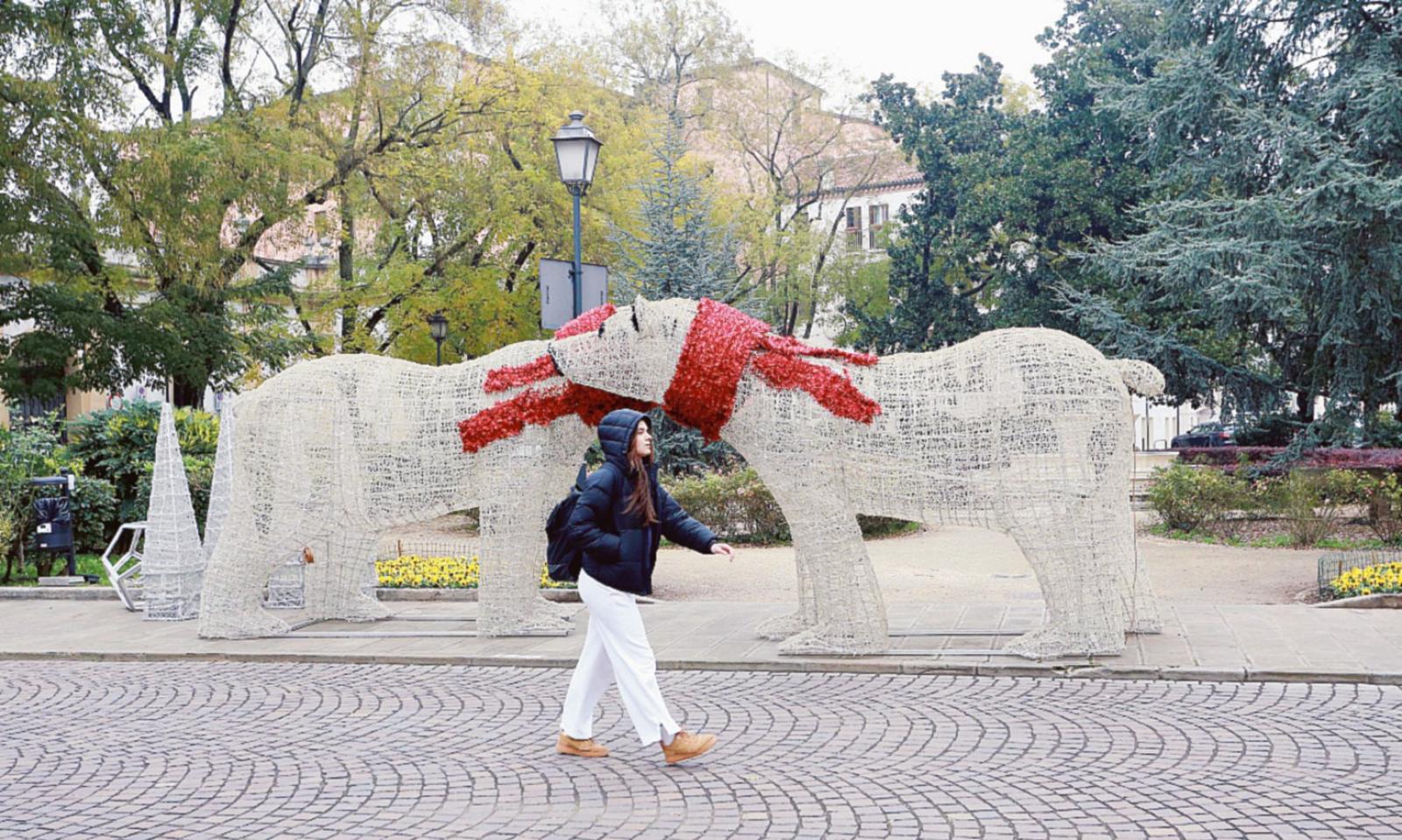Nel centro &egrave; arrivato il Natale