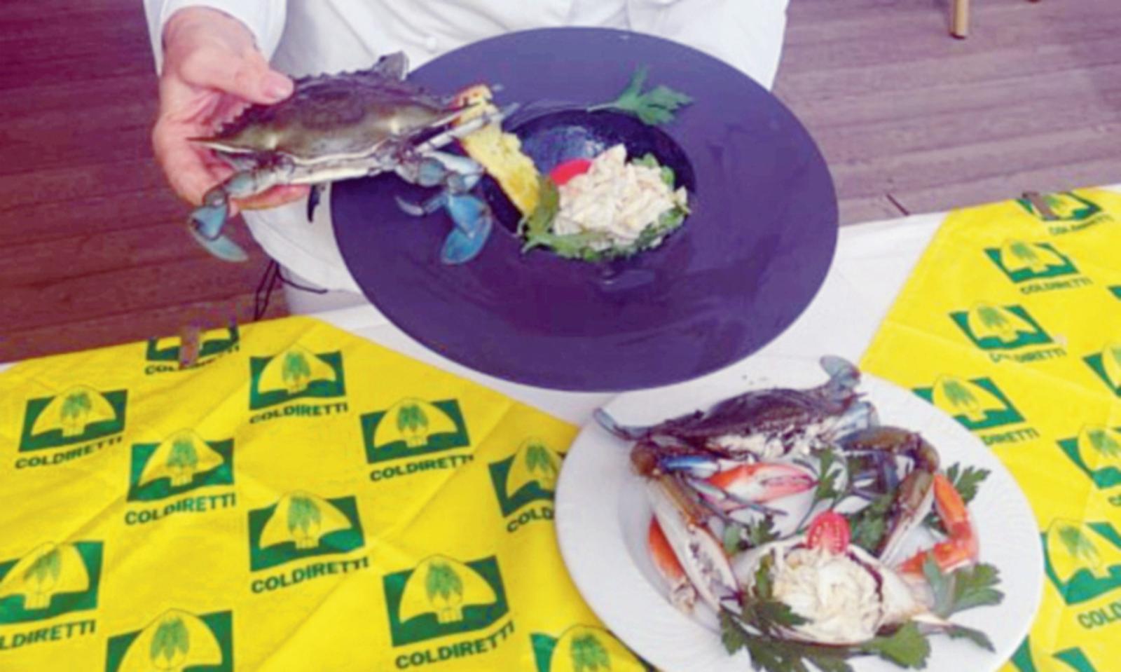 Il granchio arriva al mercato