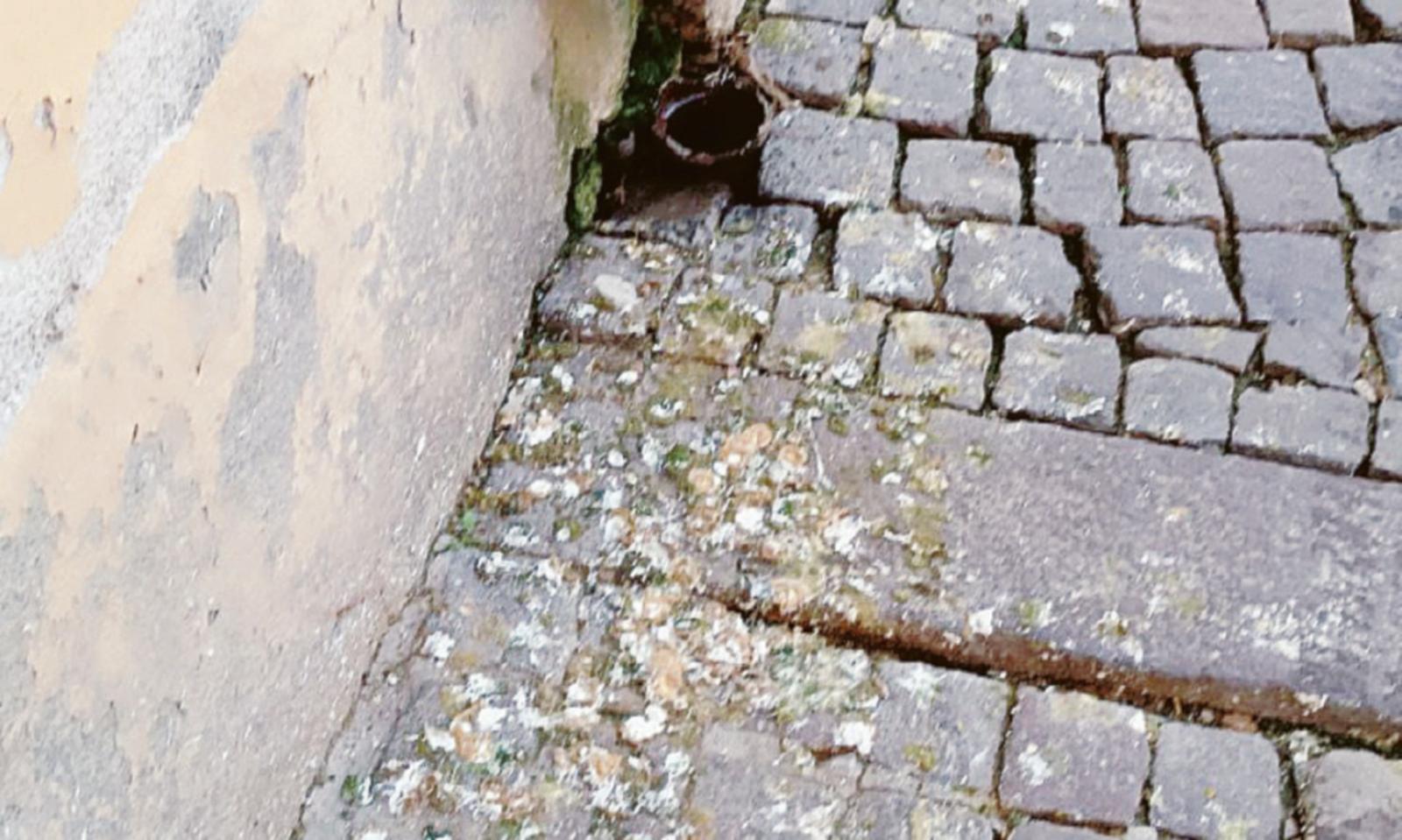 &ldquo;Sporcizia e carenza di igiene&rdquo;