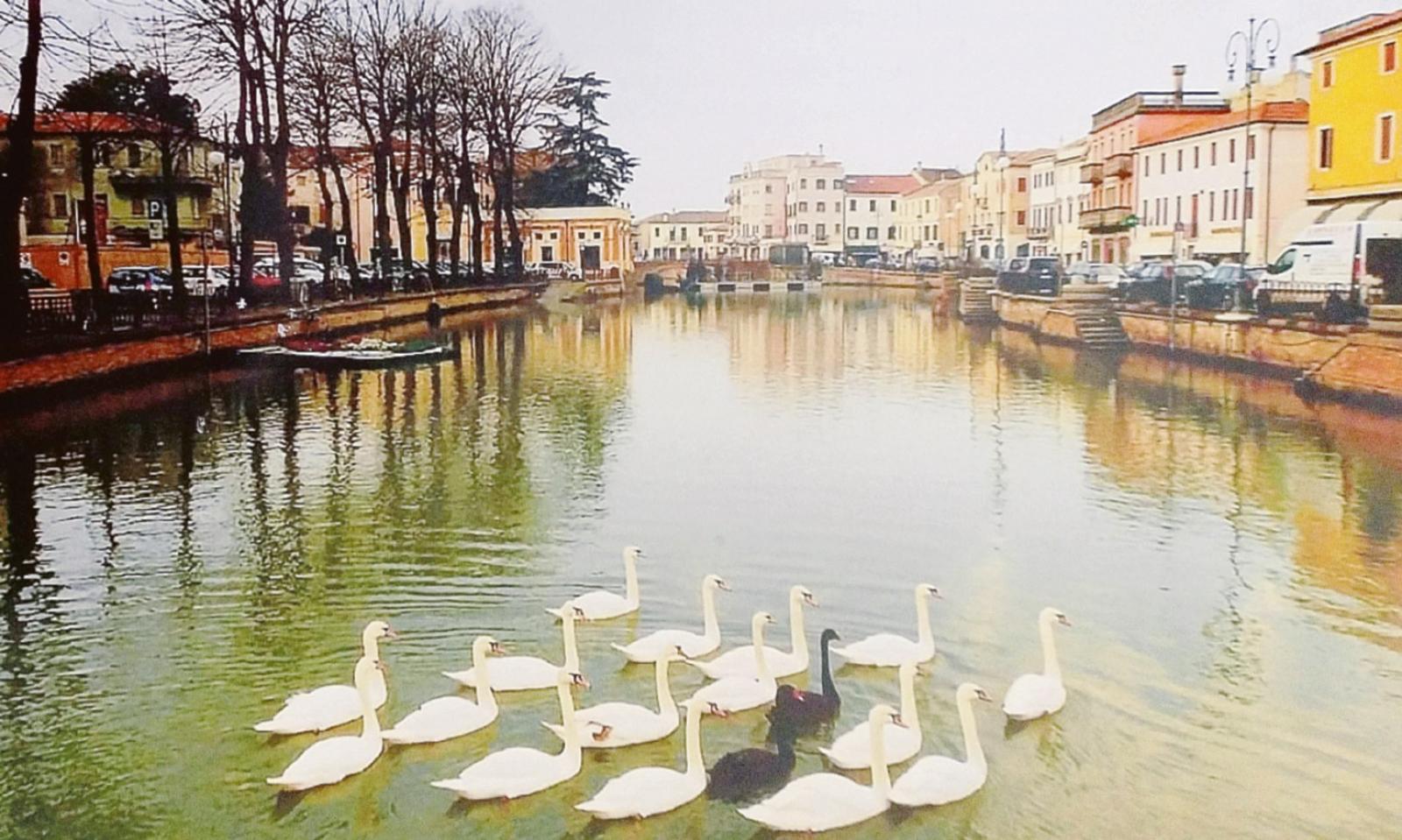 Adrianostra riaccende l&rsquo;orgoglio