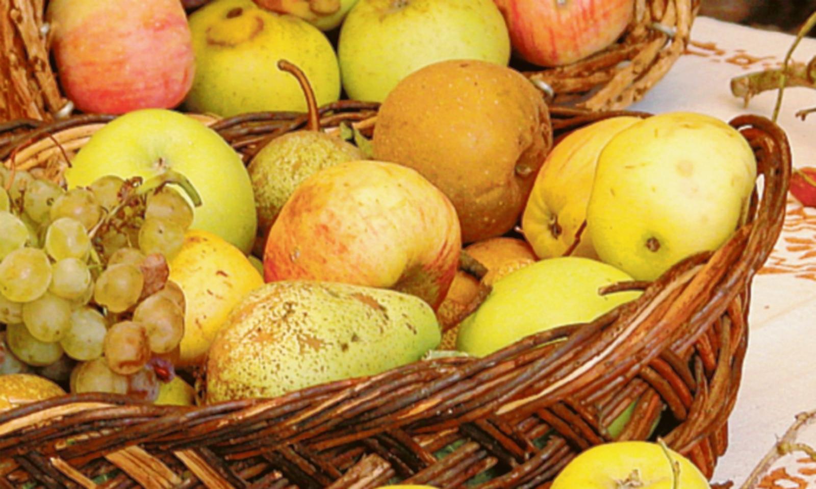 La frutta &egrave; decimata, i prezzi record