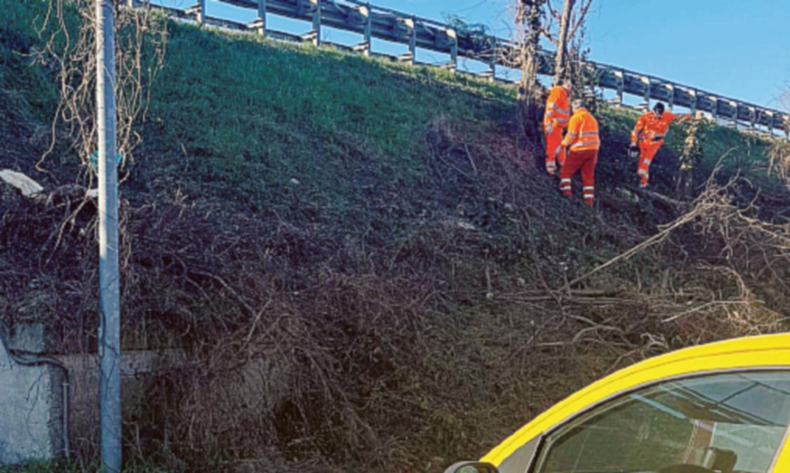 Pulizia e decoro in via Curtatone