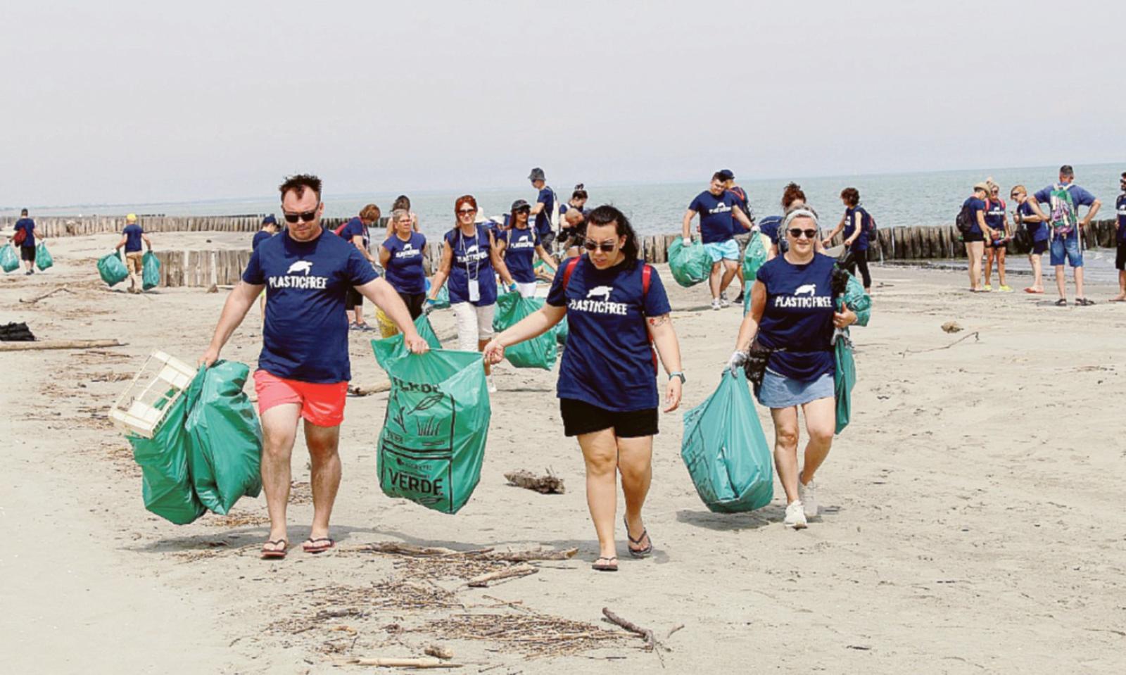 Pulizia di parchi e tartarughe salvate