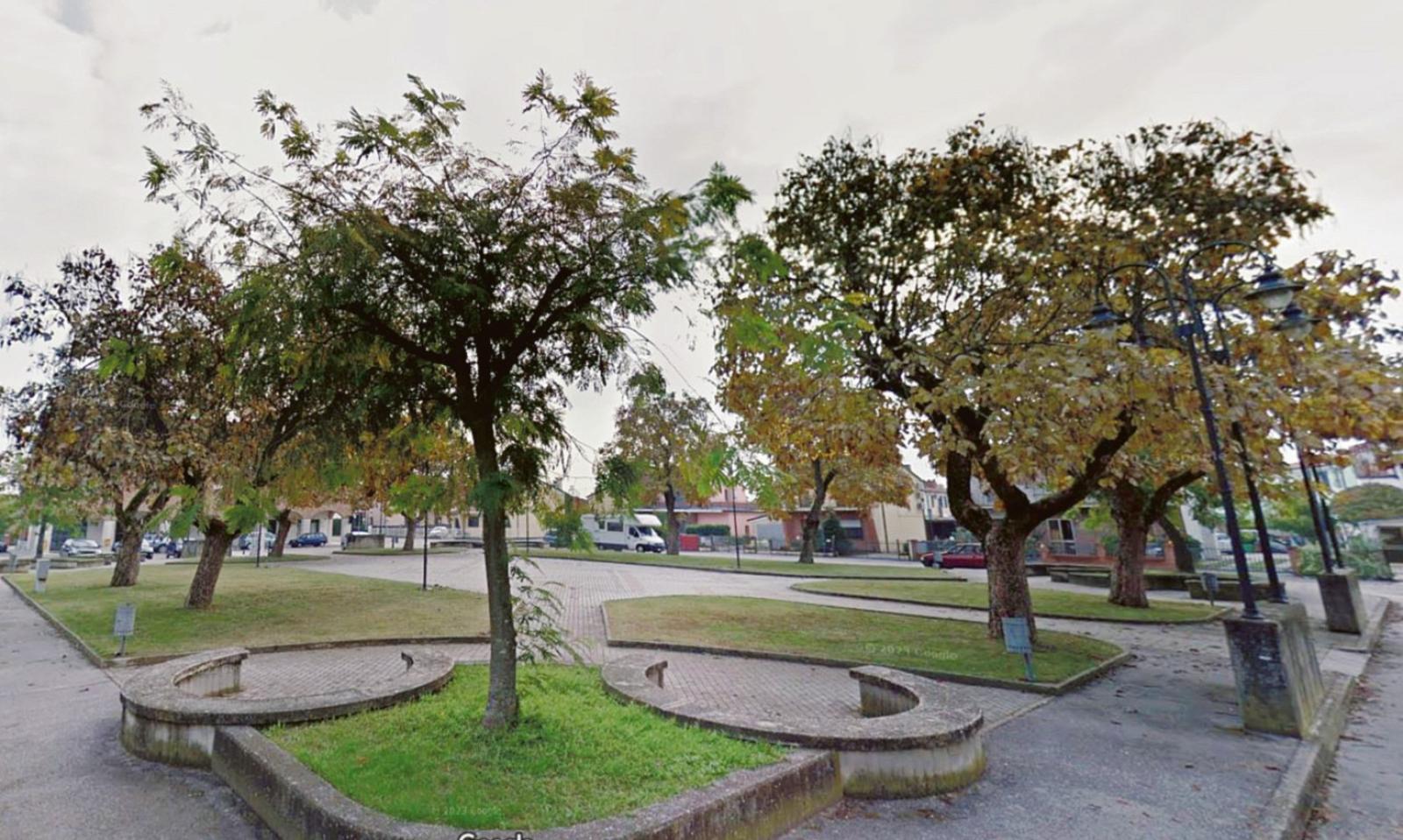 Nuovi alberi per piazza San Luca