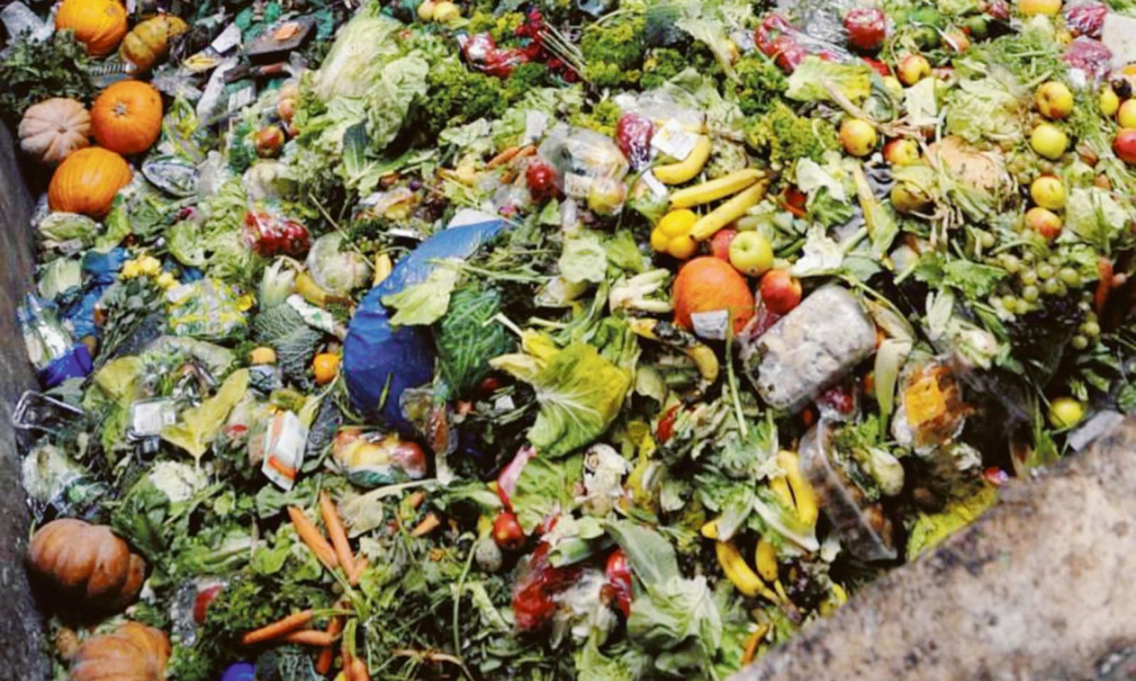 Cibo buttato, un doppio spreco