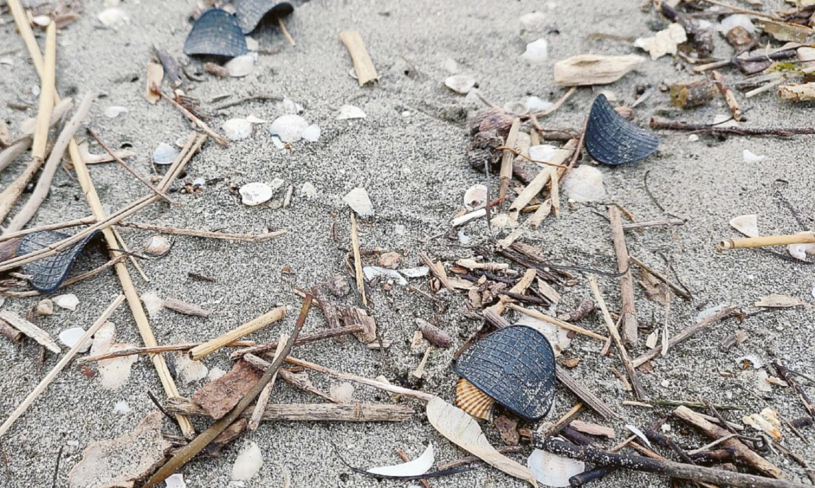 Spiagge di nuovo invase dai dischetti misteriosi
