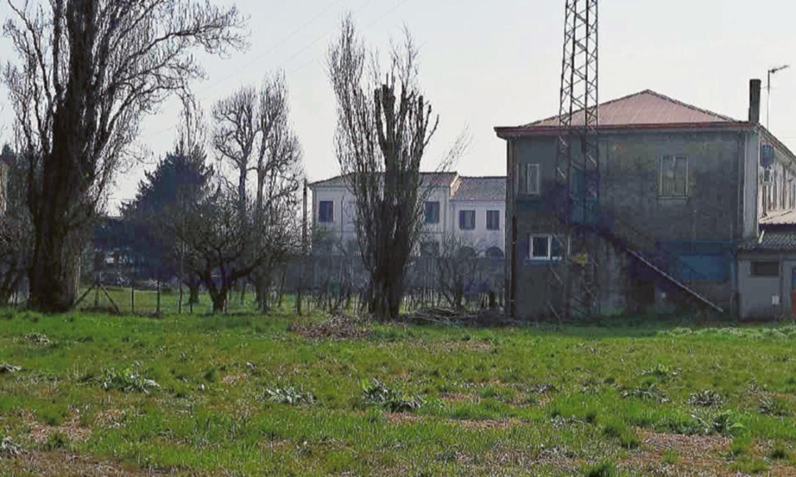 Colpi di carabina contro i gatti: &ldquo;Dobbiamo fermare il mostro&rdquo;