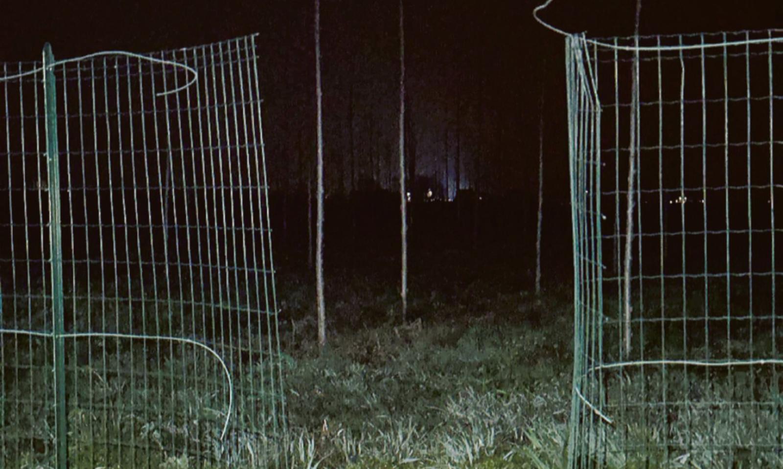 Tagliano la rete per rubare in casa