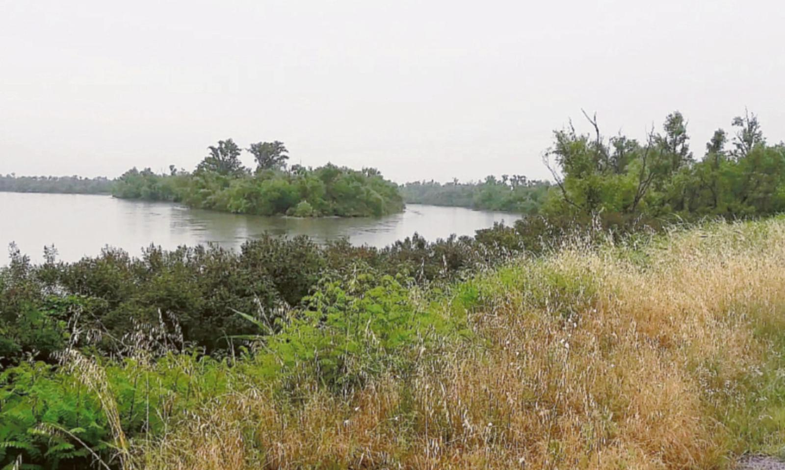 Potatura e taglio lungo l&rsquo;argine