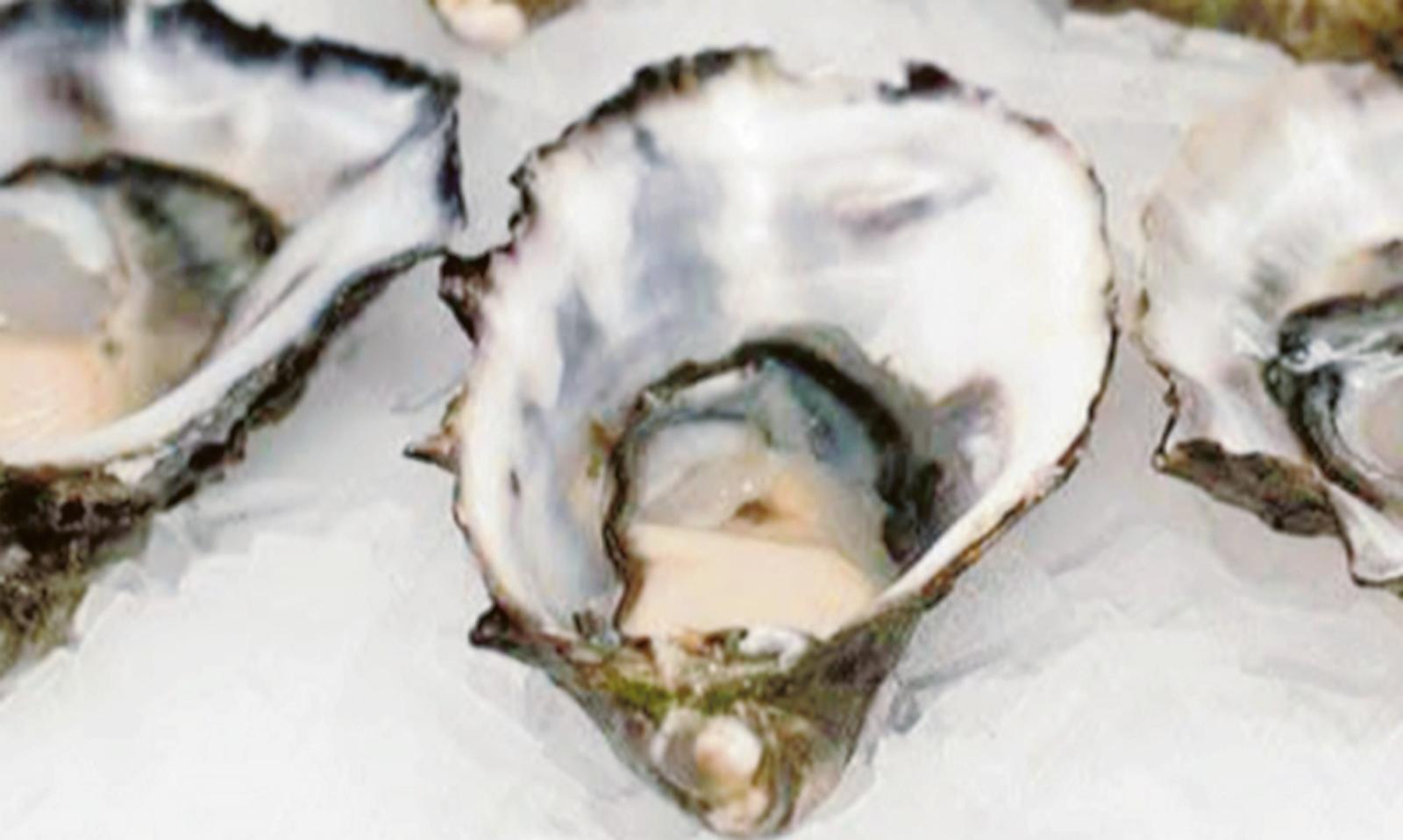 &ldquo;Abbassare l&rsquo;Iva sulle ostriche: non sono un lusso&rdquo;