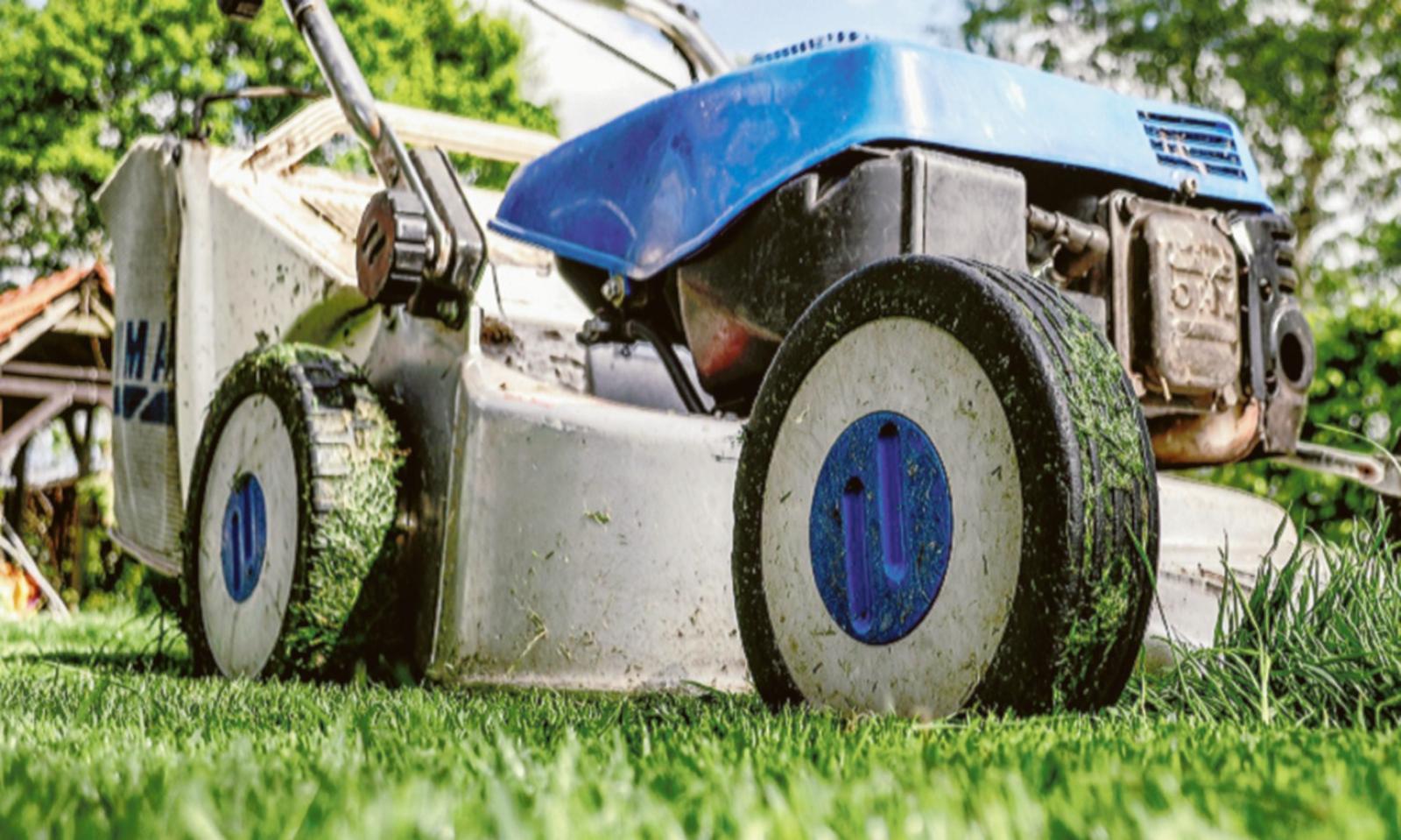 Scatta l&rsquo;ordinanza anti-jungla