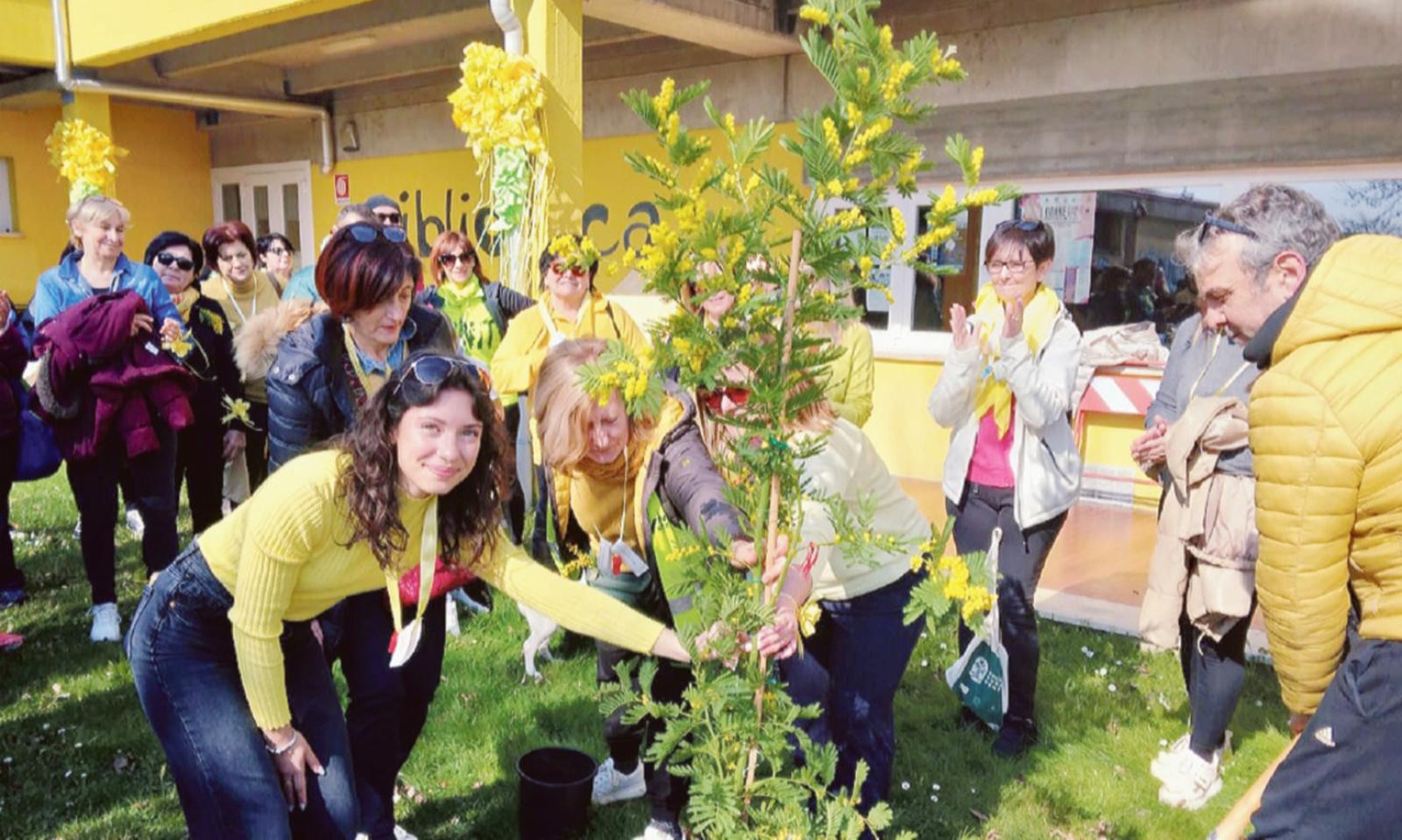 Una camminata a tinte gialle