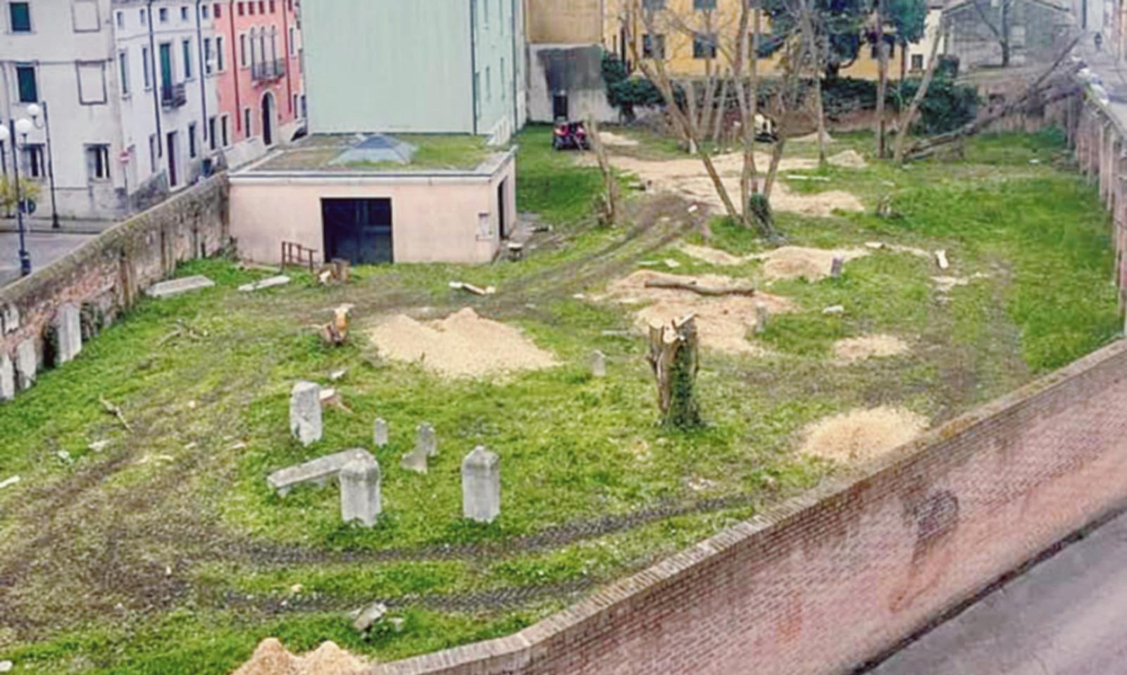 Cimitero ebraico, addio alberi