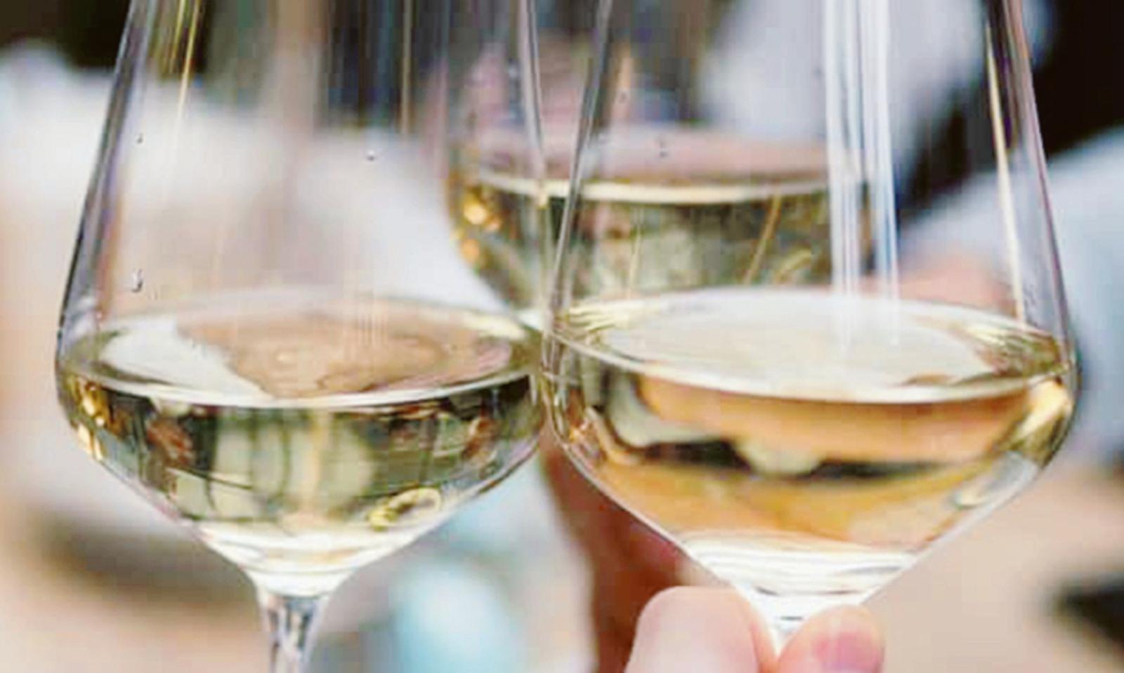 Nasce il vino del Delta