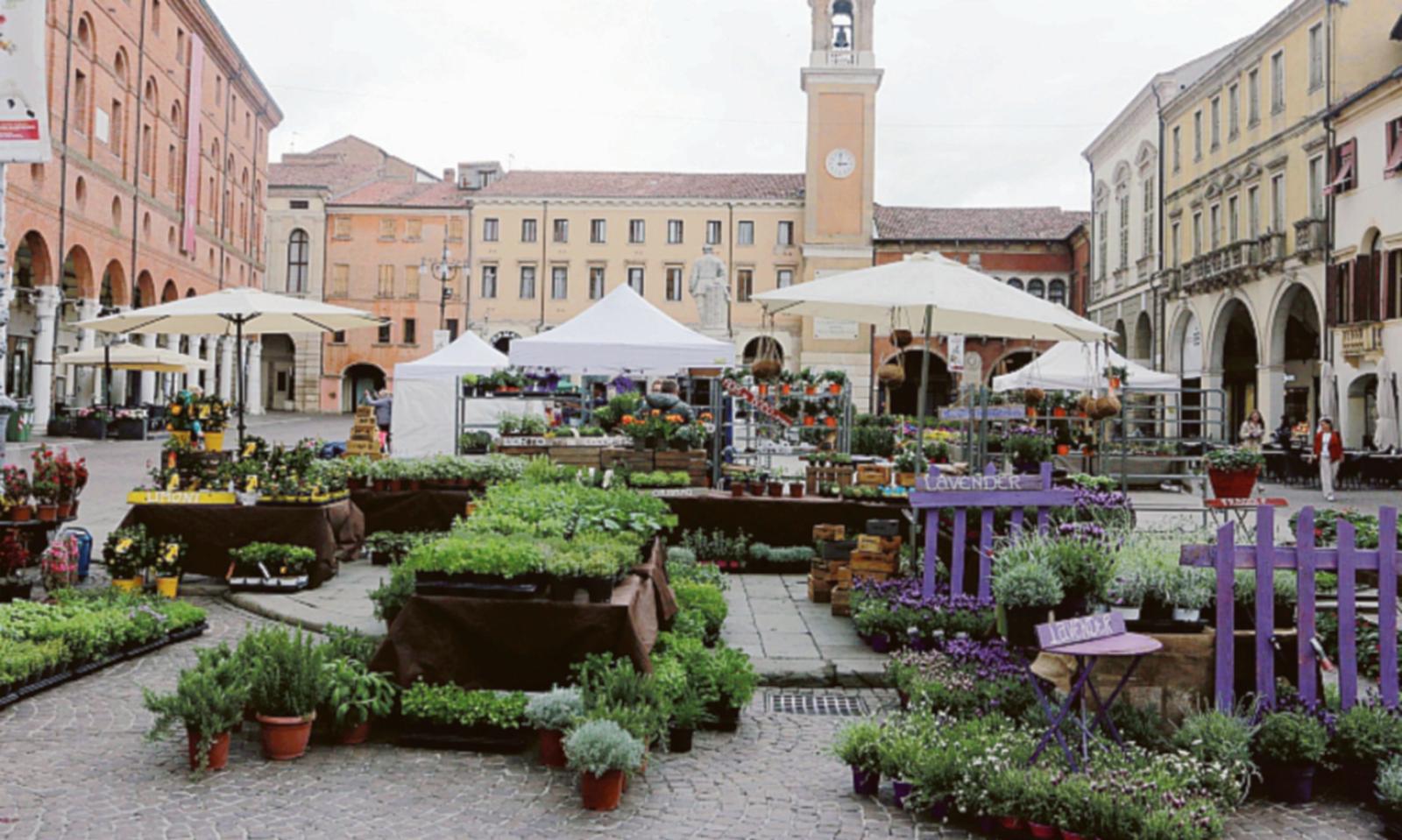 Domenica tra fiori e musica 