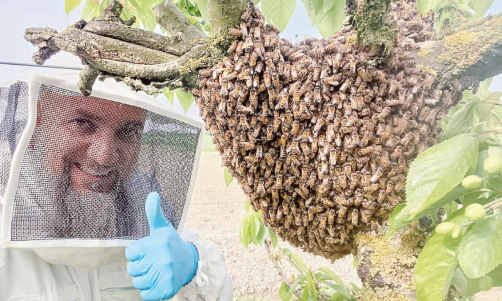 La piena del Po &ldquo;sfratta&rdquo; le api