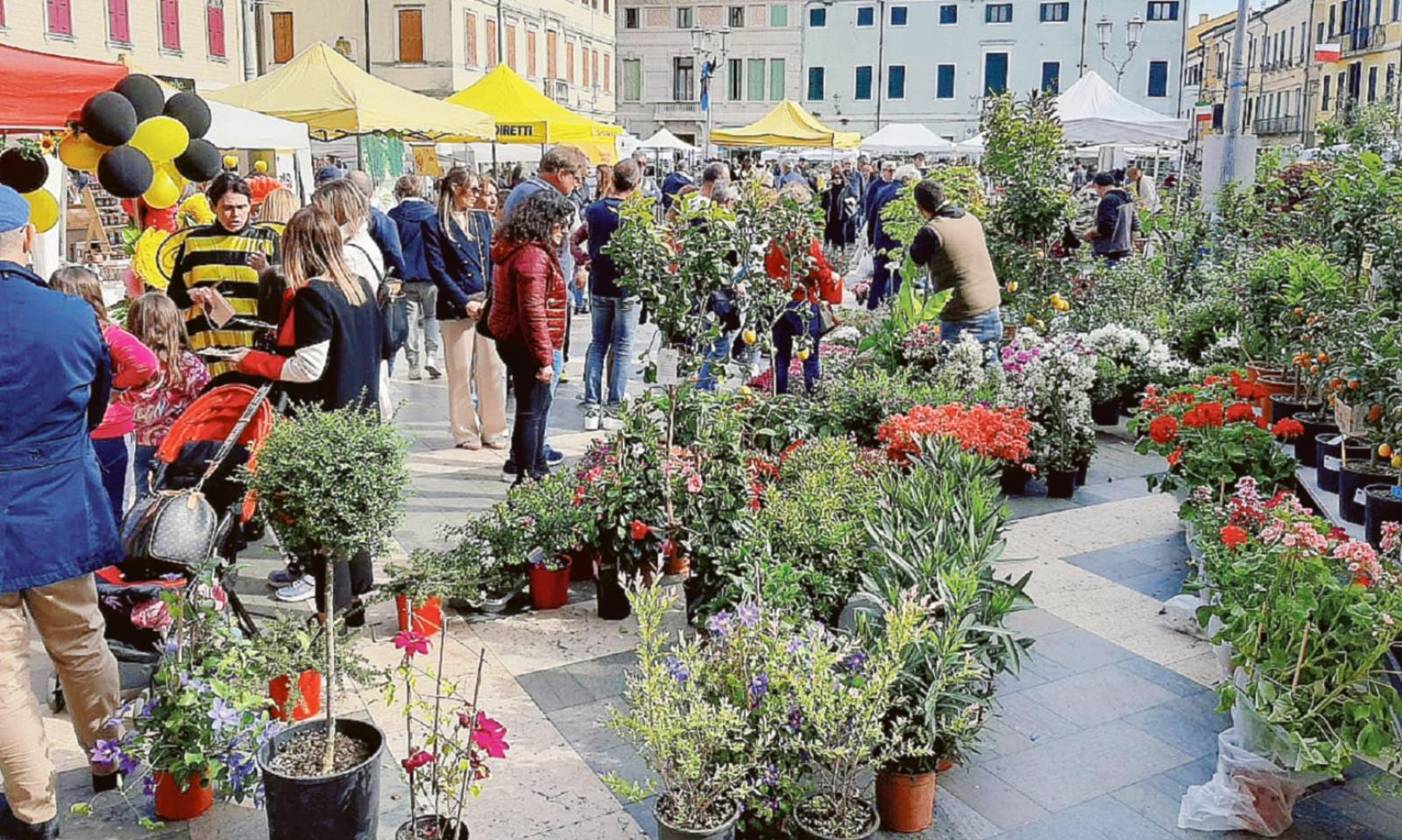 E&rsquo; la domenica di &ldquo;Adria in fiore&rdquo;