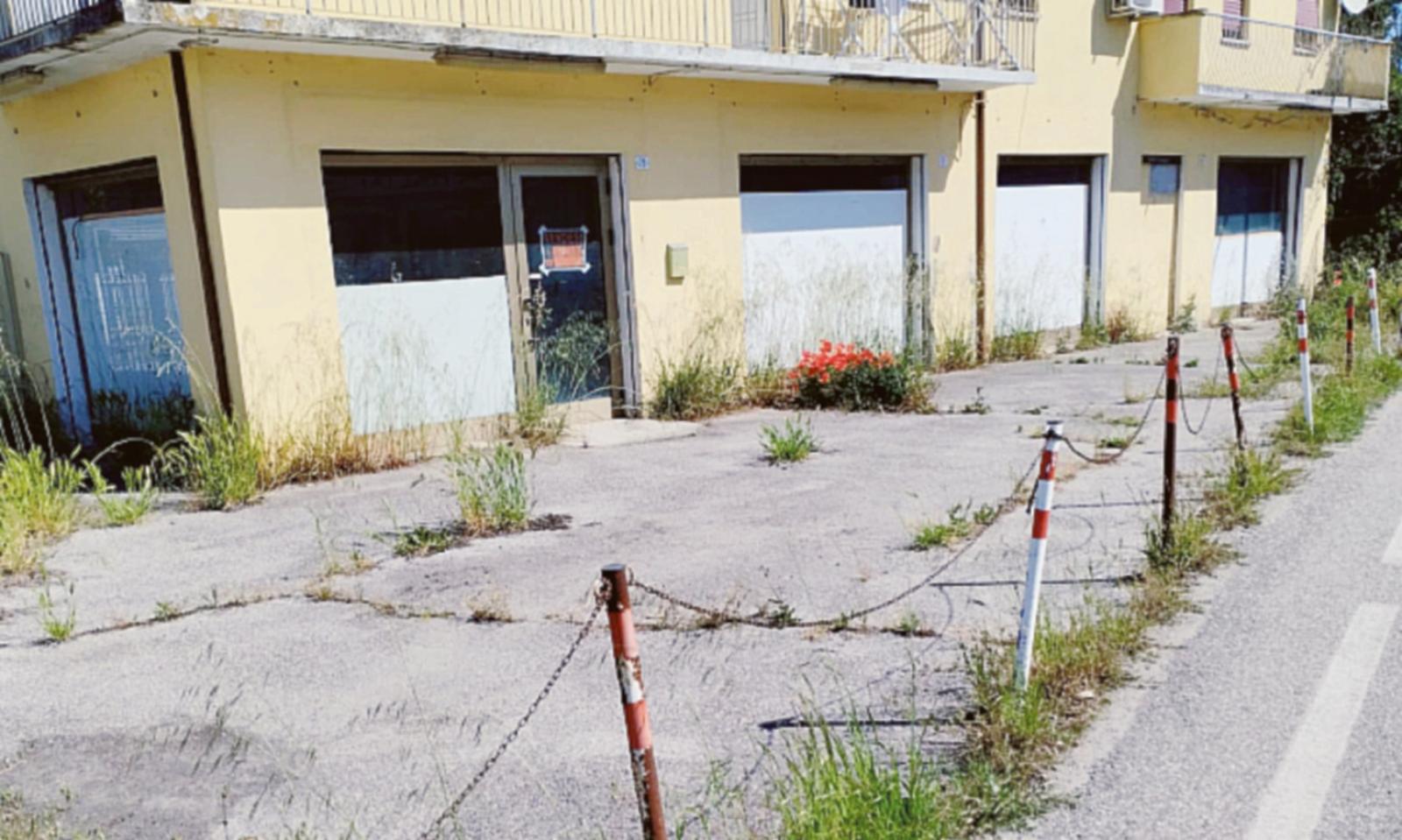 Tra rifiuti ed erba alta