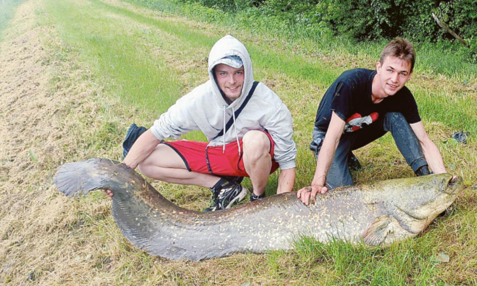 Il mostro che spunta dal Ceresolo