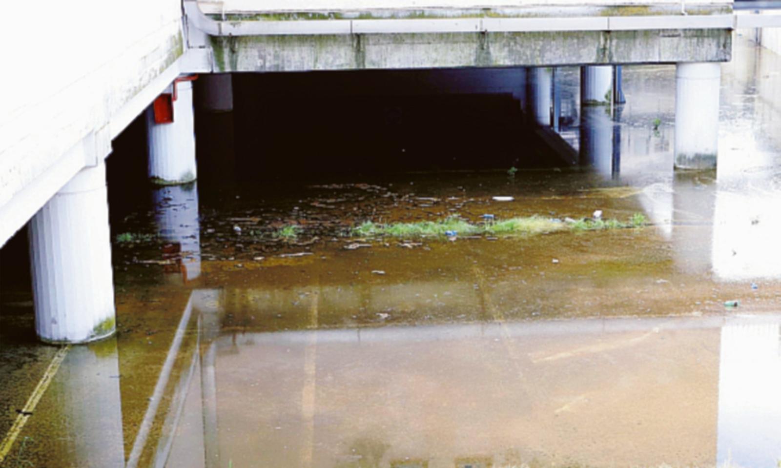 Pastiglie antilarvali gratis ai cittadini: parte cos&igrave; la guerra alle zanzare