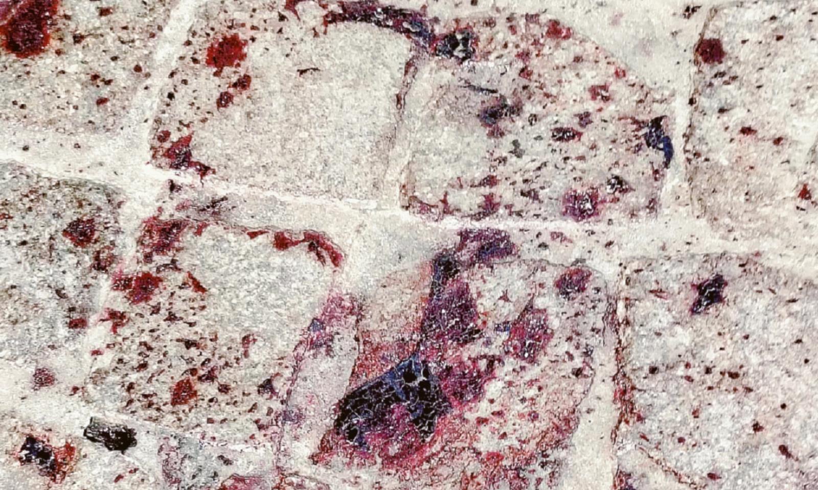 Botte e sangue in piazza Cavour