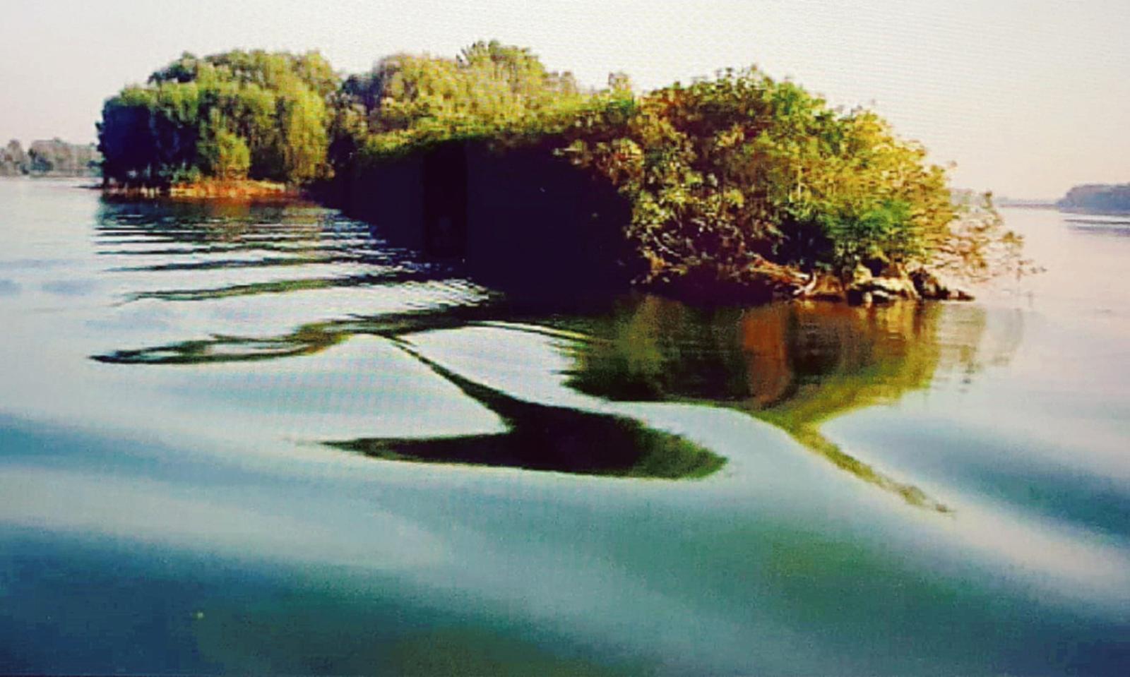 Bosgattia nella cultura europea