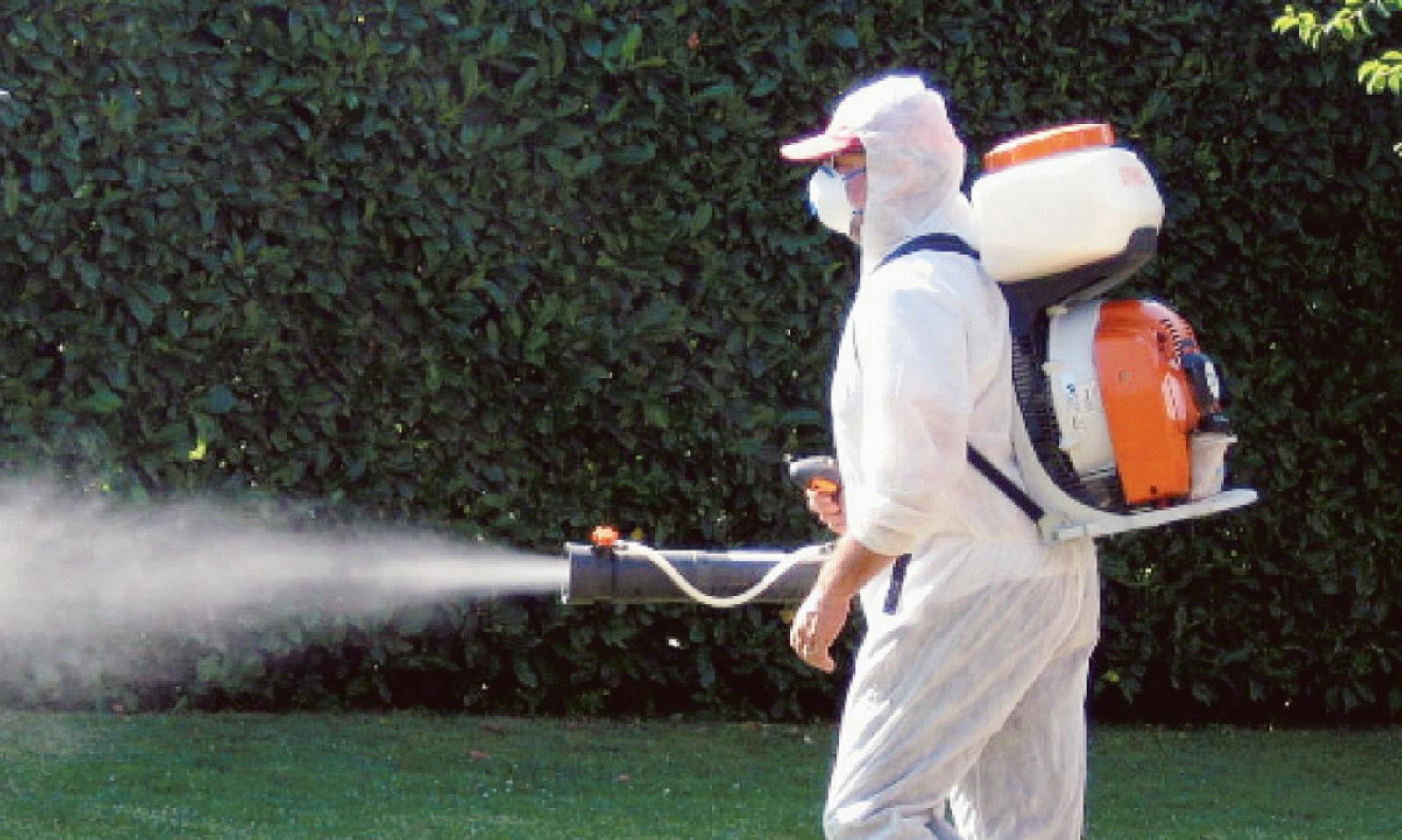 Chikungunya, zanzare nel mirino