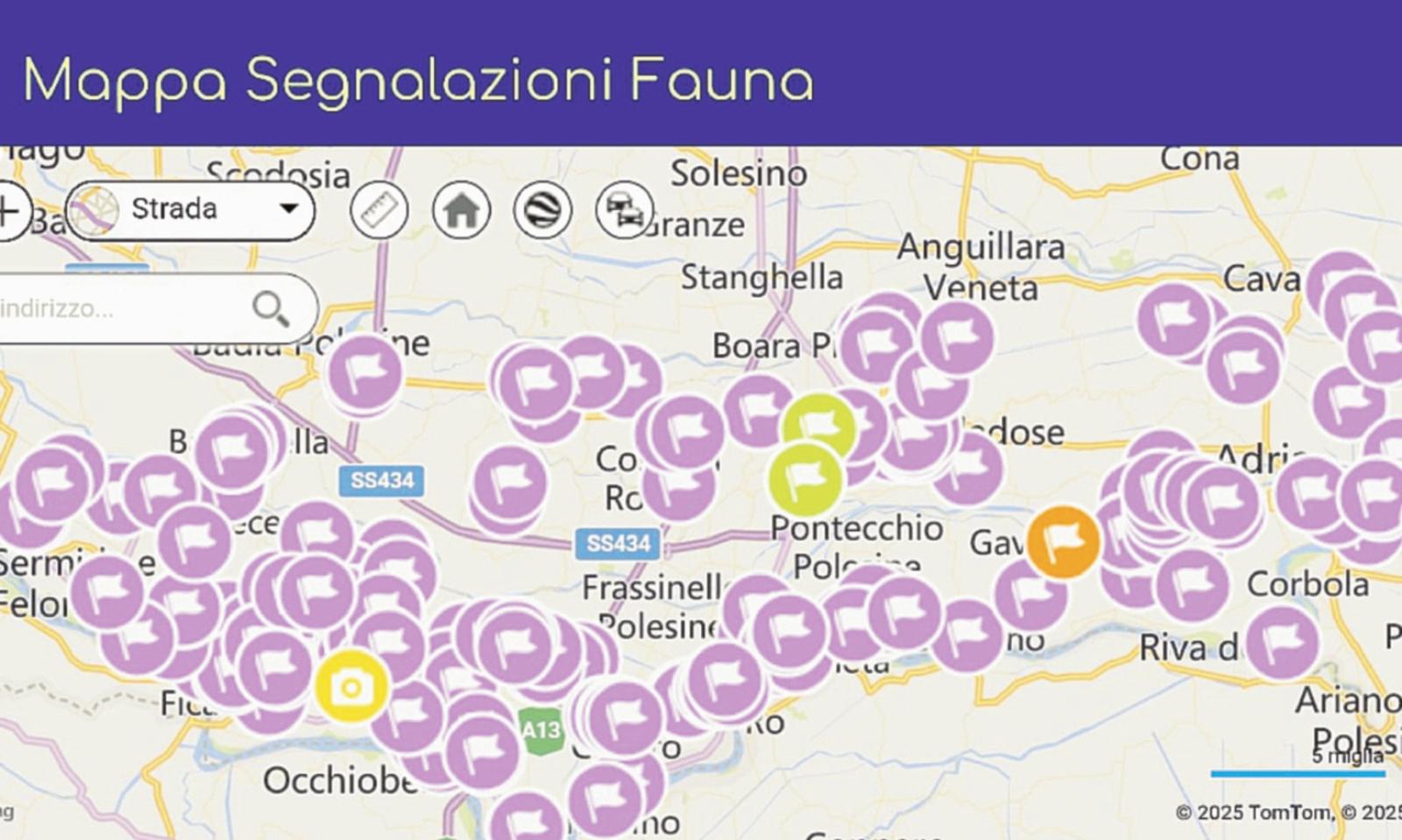 Arriva la app per segnalare tutte le nutrie del Polesine