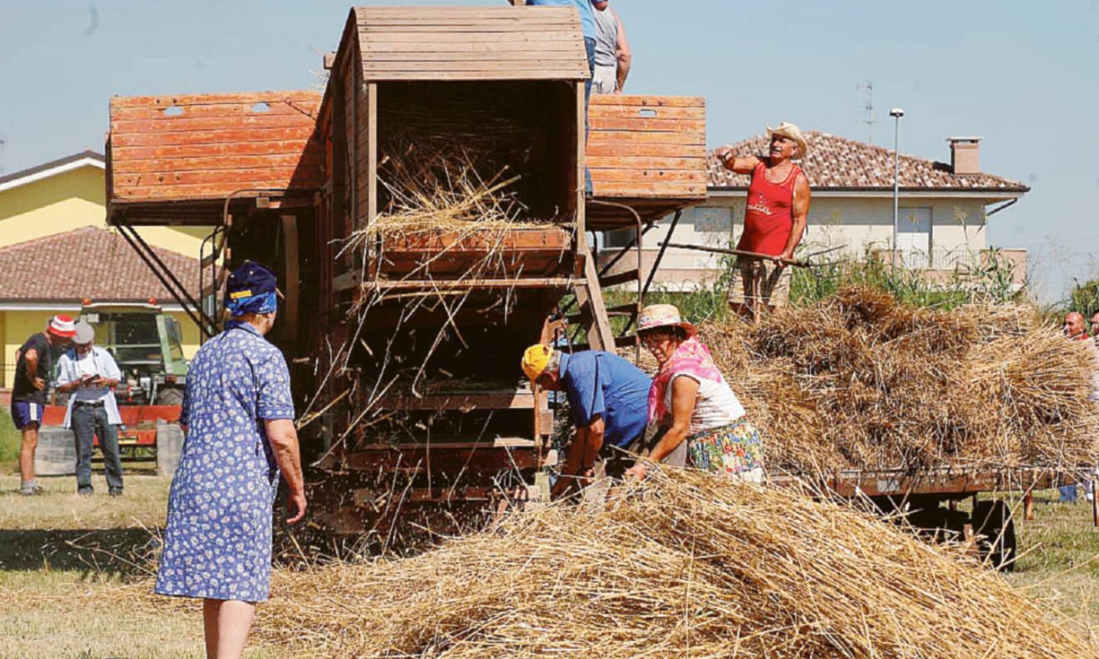 Festa del grano, &ldquo;le nostre radici&rdquo;