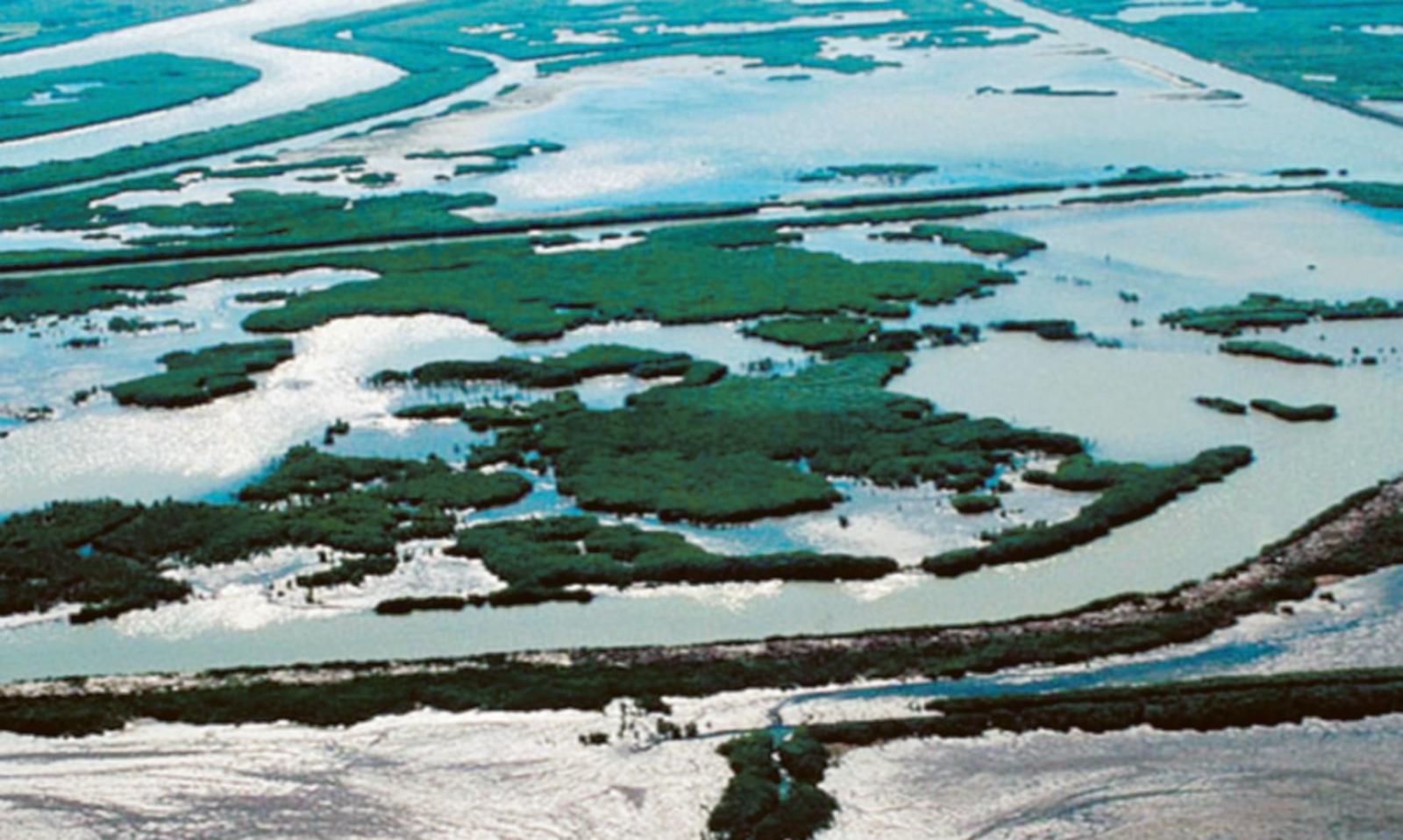 Il cuneo salino torna a far paura