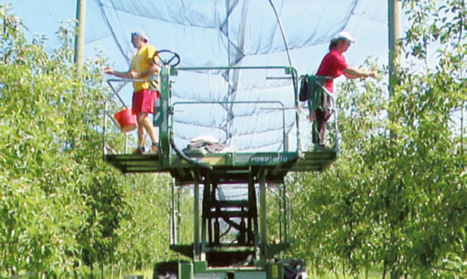 &ldquo;Servono 20-25mila stagionali&rdquo;