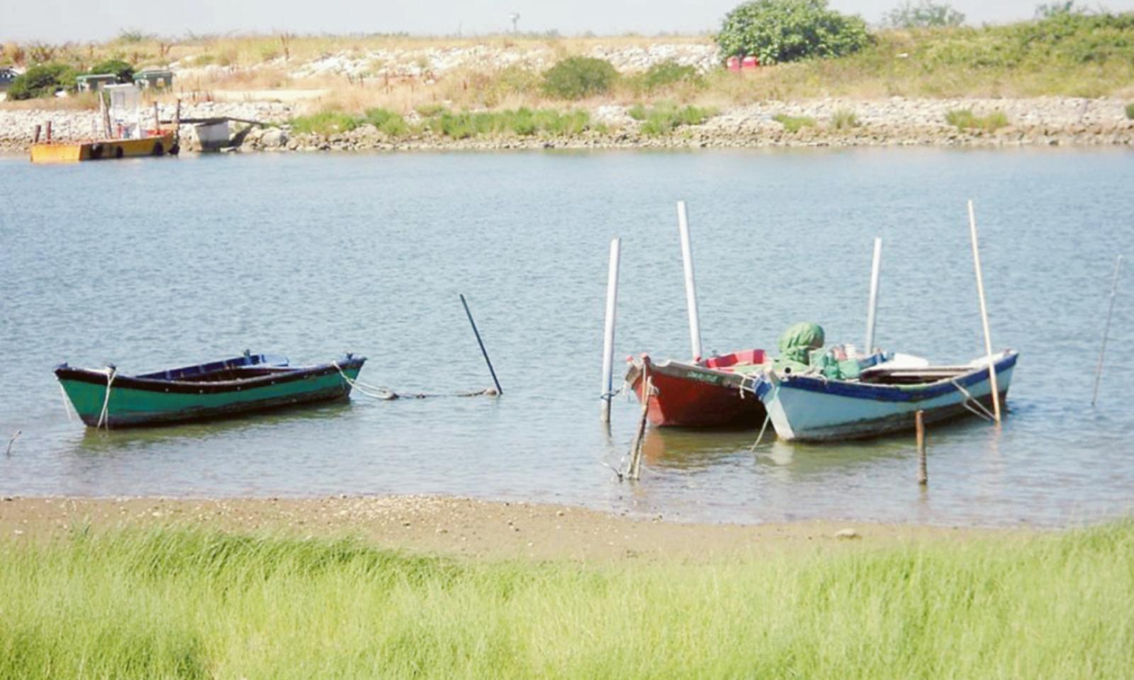 Canarin, arrivano nuove risorse