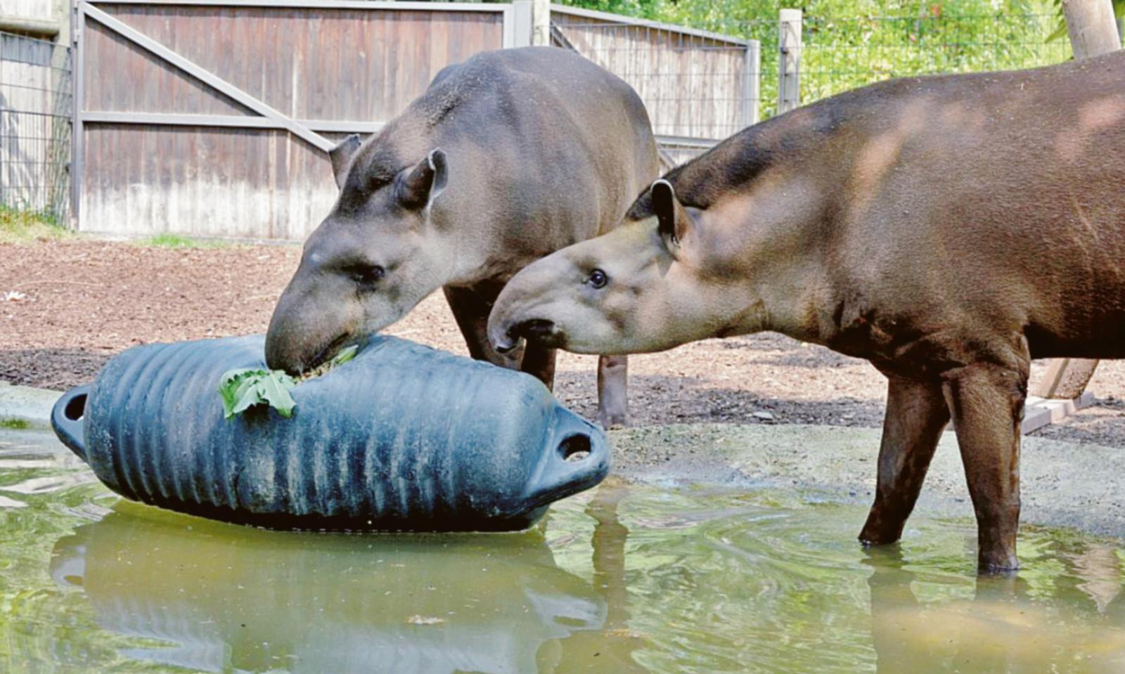 Una nuova vita per le vecchie boe