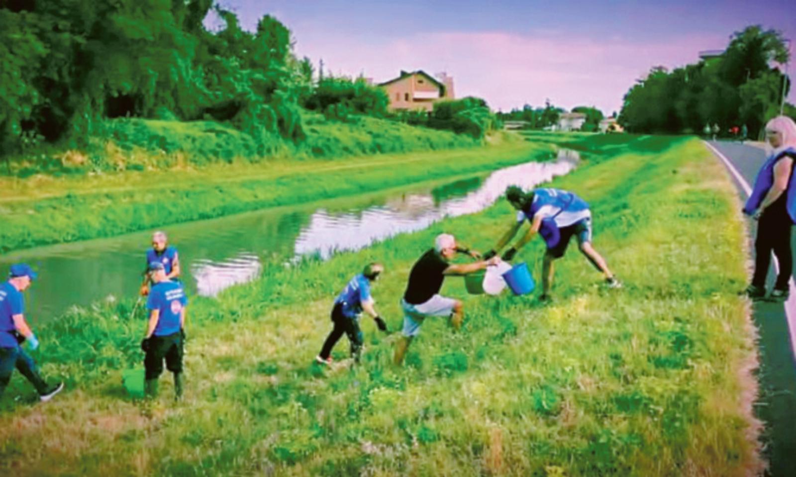 Catena umana per salvare gli alberi morenti
