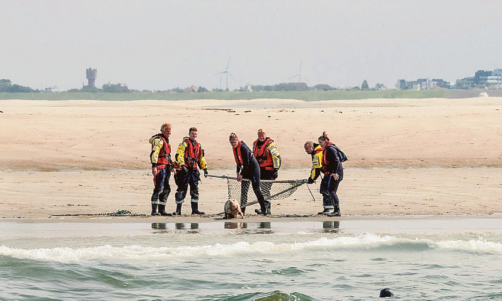 Pi&ugrave; sicuri sulle nostre spiagge