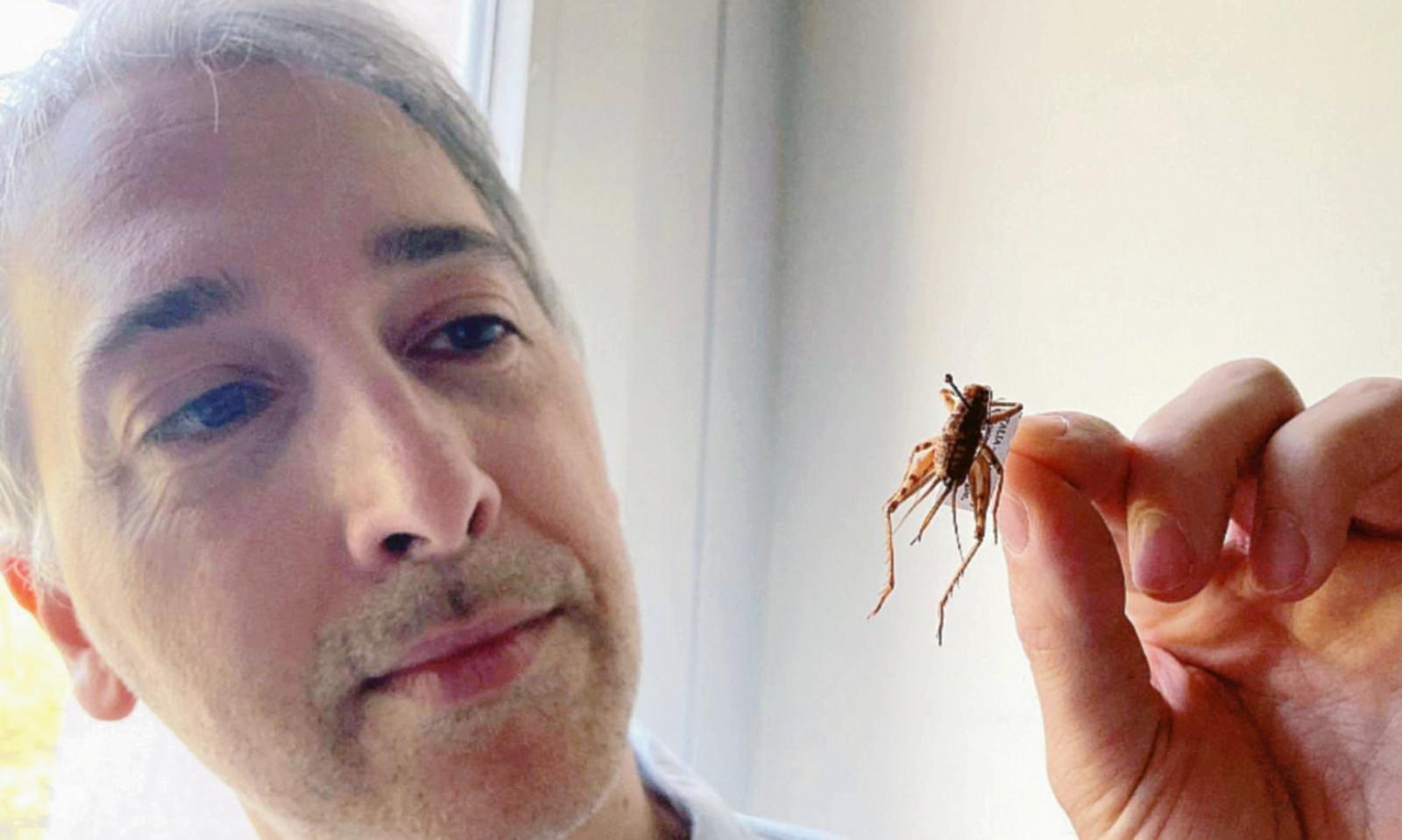 E&rsquo; l&rsquo;anno del grillo di Bordeaux