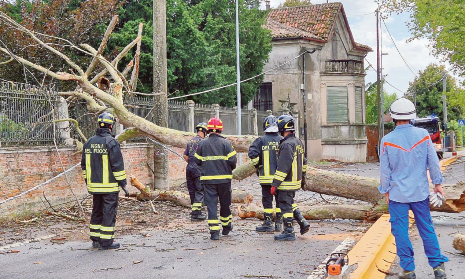 Grandine: agricoltura in ginocchio