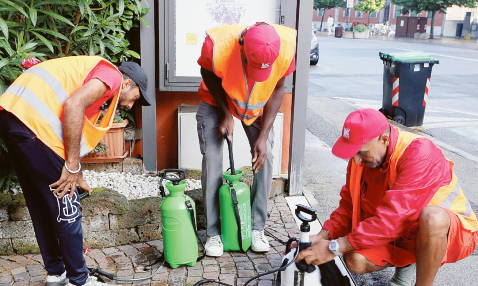 &ldquo;E&rsquo; stata fatta la disinfestazione?&rdquo;