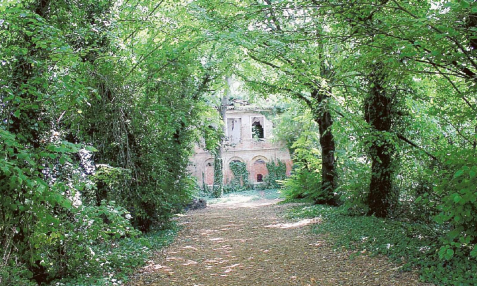 Botta e risposta sulla cura del verde