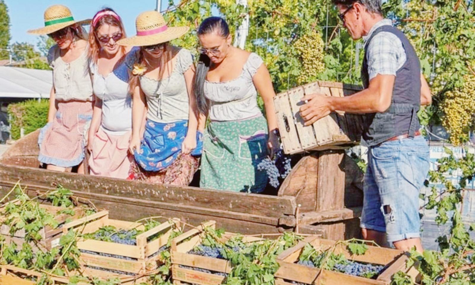 Tutto pronto per la festa del vino