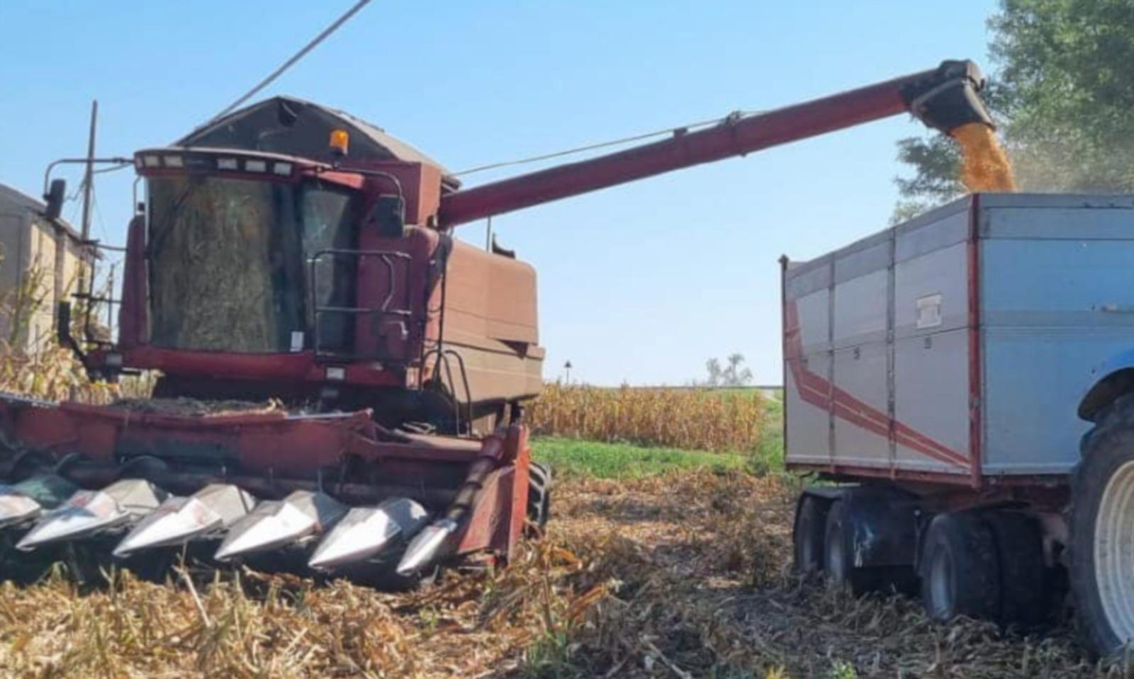 336 nuove imprese under 40