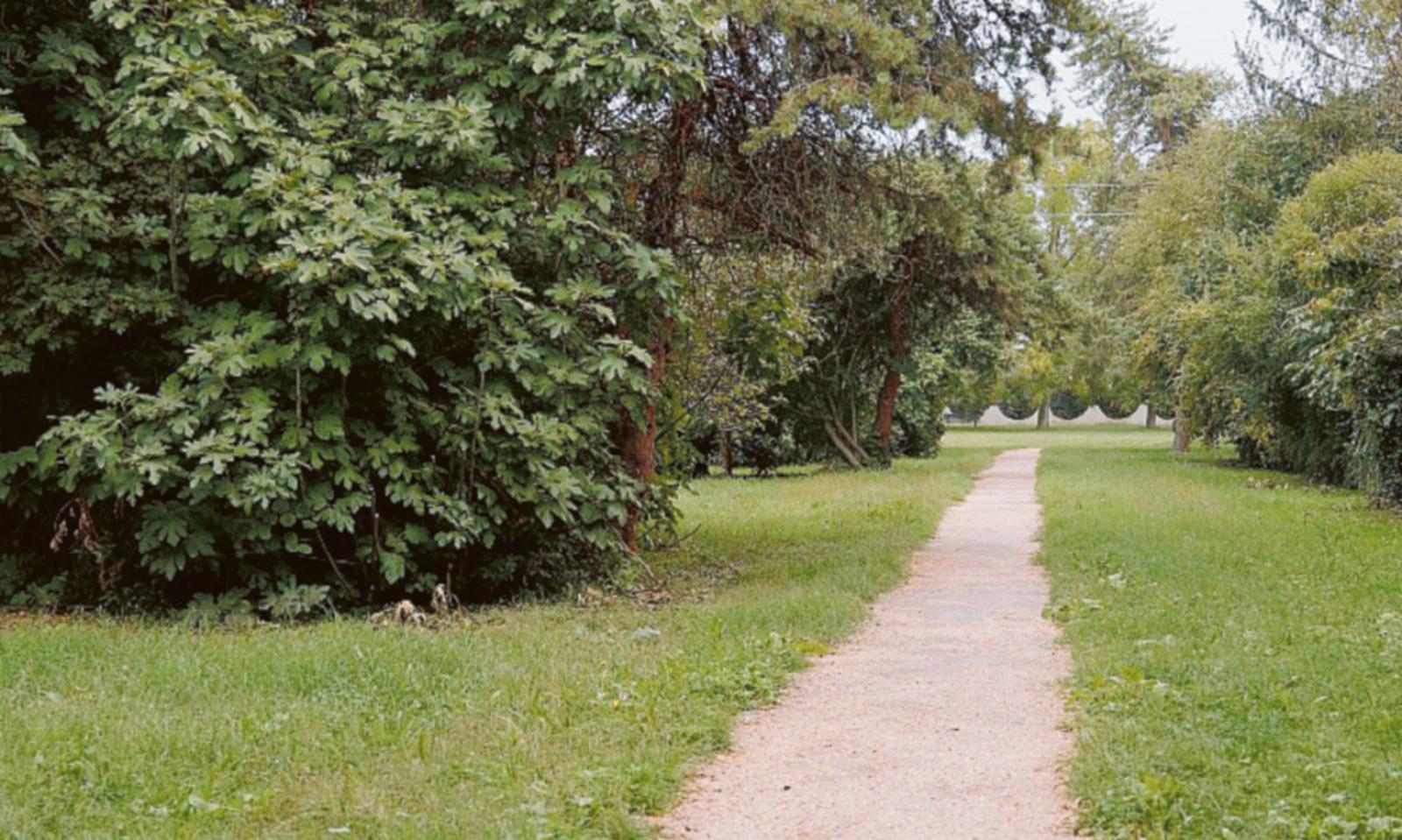 Parco Cibotto, nuovi vialetti